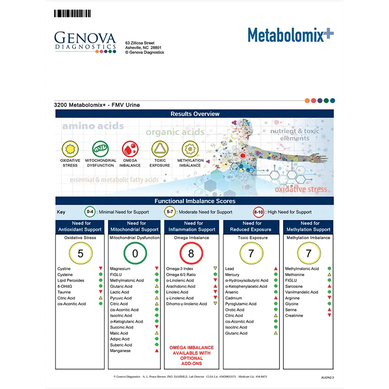 Metabolomix Nutritional Assessment - Image 2