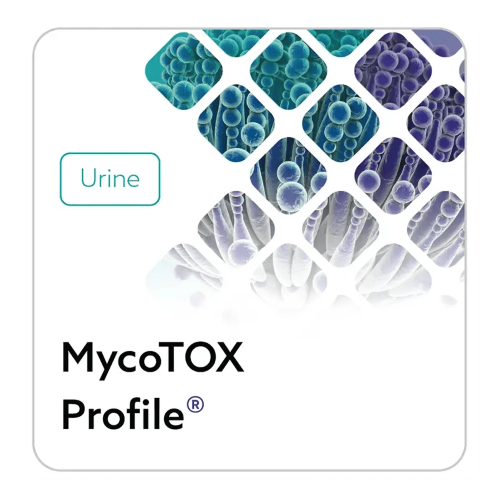 Mosaic MycoTOX Profile