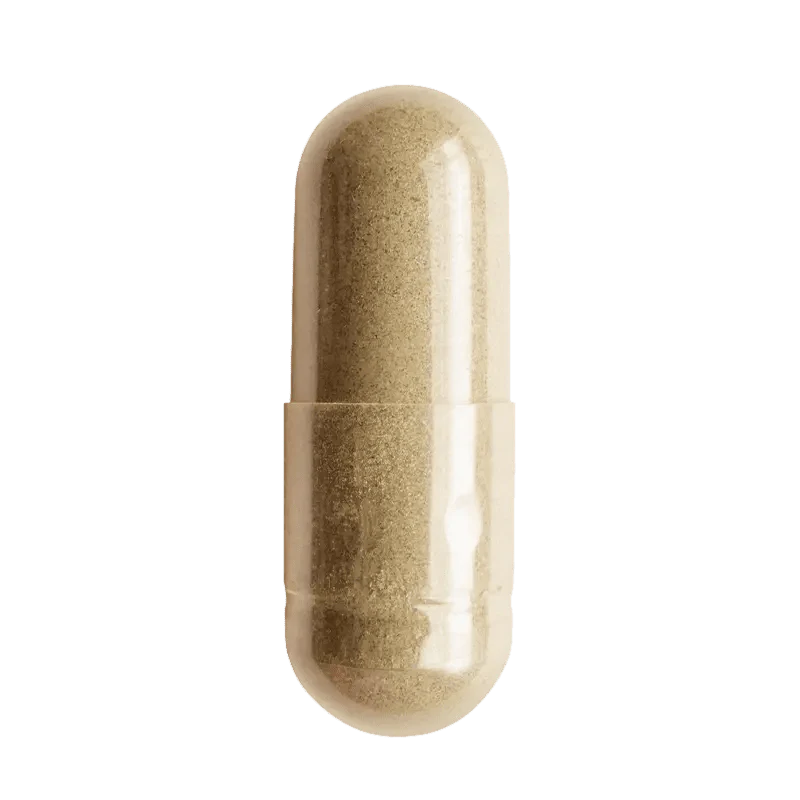 Parasite Bundle - Image 6
